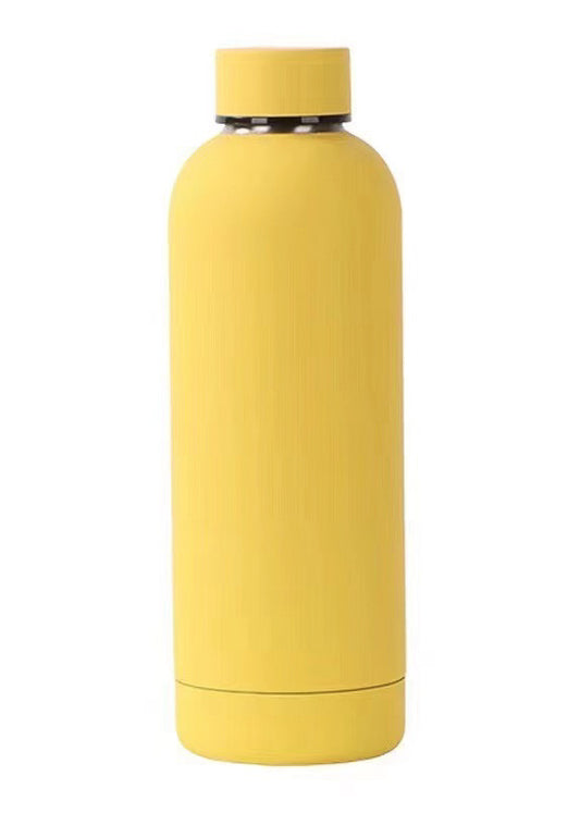 Insulated Water Bottle